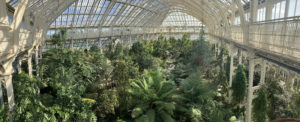 The view from the balcony of the Temperate House, the world’s largest surviving Victorian glasshouse.